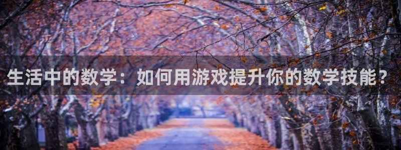 蓝冠娱乐线路测试：生活中的数学：如何用游戏提升你的数学技能？