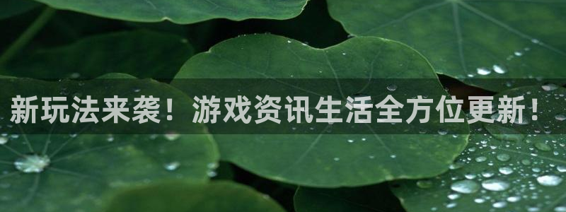 蓝冠机电