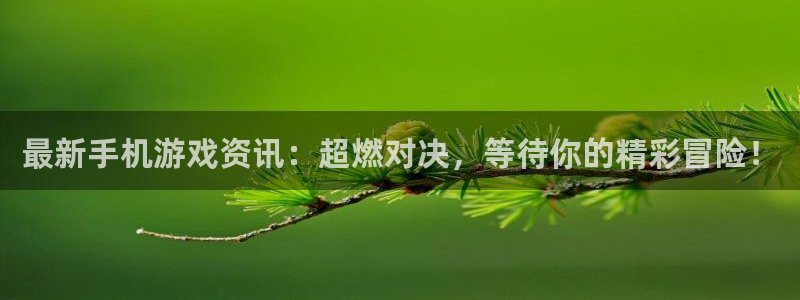 蓝冠在线