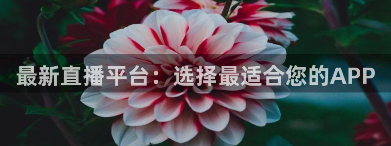 小九直播nba免费观看：最新直播平台：选择最适合您的APP