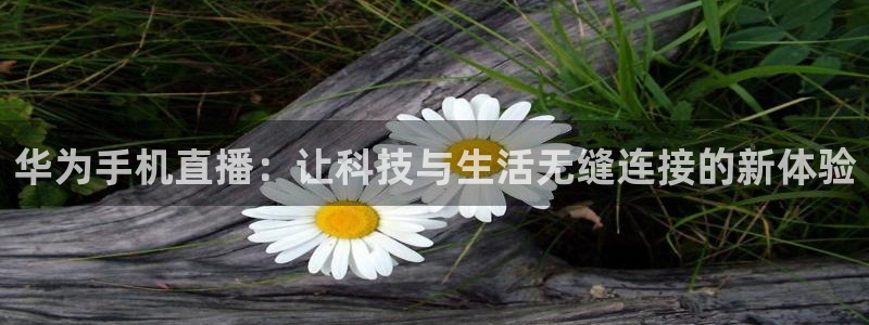 小九免费直播在线观看直播足球：华为手机直播：让科技与生活无缝连接的新体验