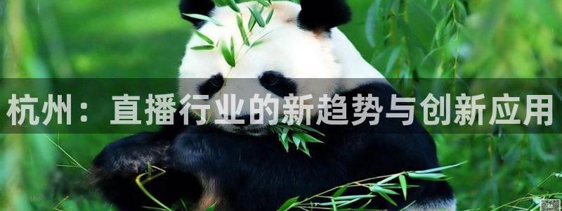 小九直播nba乐悠：杭州：直播行业的新趋势与创新应用