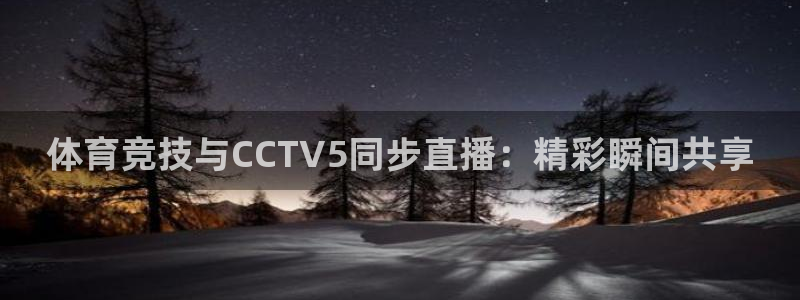 小九nba免费直播：体育竞技与CCTV5同步直播：精彩瞬间共享
