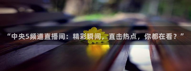 nba直播免费高清直播小九：“中央5频道直播间：精彩瞬间，直击热点，你都在看？”